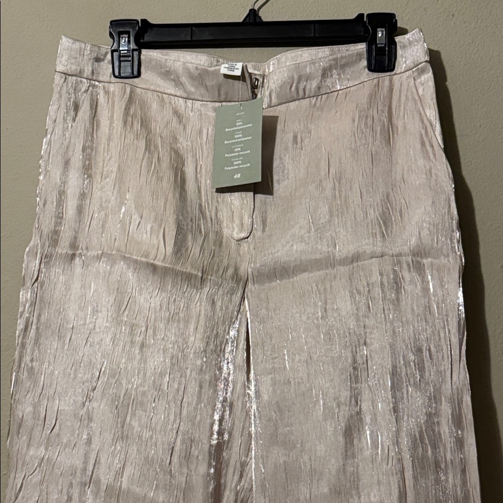 H&M Sheer Pants NWT - Picture 4 of 7